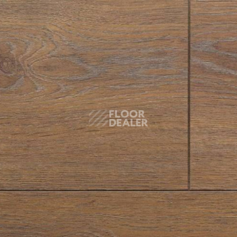 Ламинат Alsafloor Solid Plus ДУБ НУАЗЕТ (КАШТАН) 528 фото 1 | FLOORDEALER